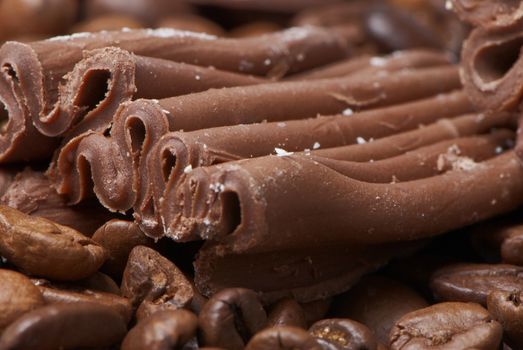 succulent chocolate On coffee grains, close-up macro