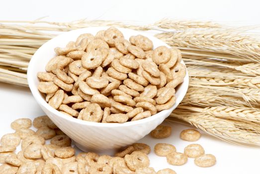 Cereal and Wheat ears on a white background