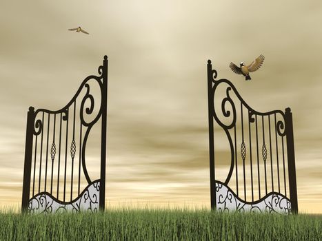 One vintage black open gate in nature with two birds flying around by brown cloudy day