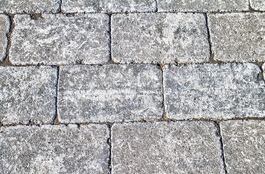 Closeup of gray brick wall. Great texture and detail. 