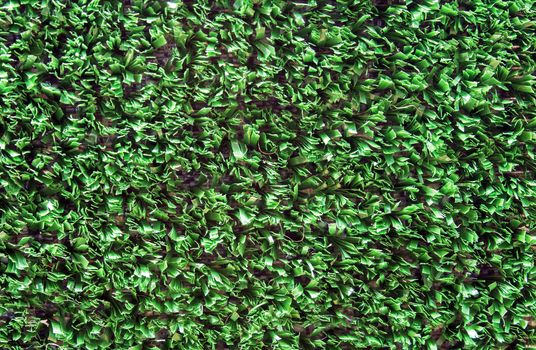 Closeup of ivy green turf like carpeting. 