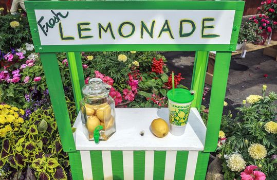 Charming fresh lemonade stand with jar full of lemons. Garden design