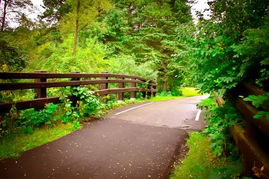 Paved bike path runs through vivid greenery. Wooden railing runs alongside.