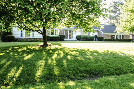 Shaded front lawn of a brick ranch style home with a bay window in the front.