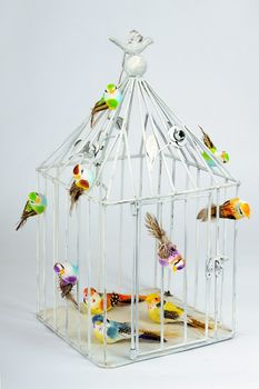 Beautiful cage with birds on grey background