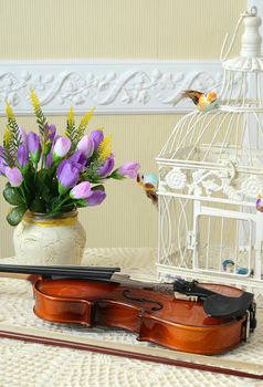 The violin on the table close up