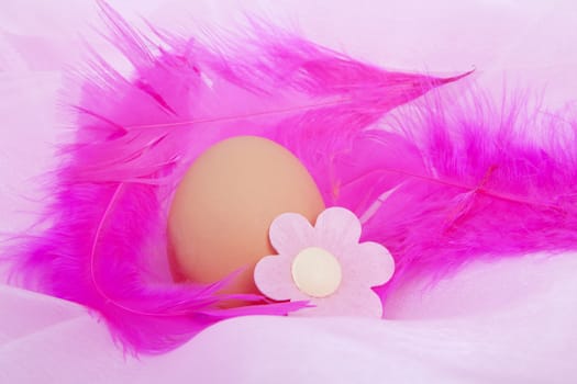 Chicken egg decorated for easter in closeup