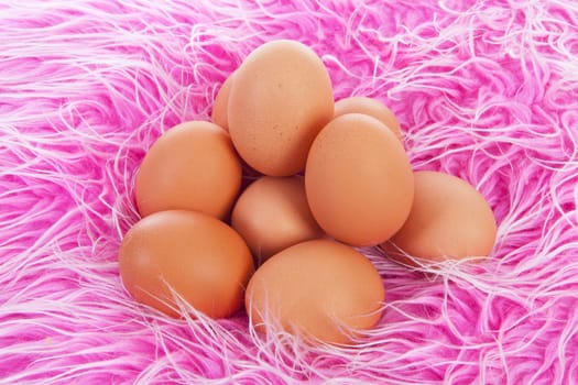 Pile of chicken eggs on fluffy pink background