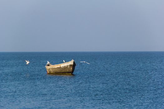 many  seagulls on the old boat