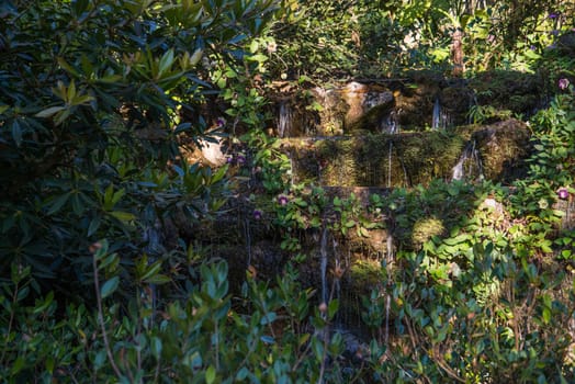 lttle mini waterfalls through a tree