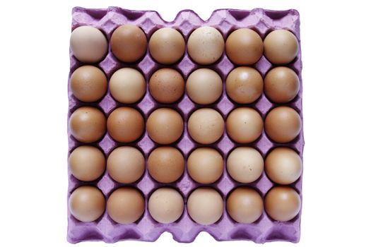 Closeup of eggs in tray on plain background