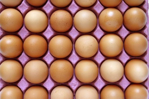 Closeup of eggs in tray