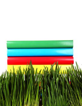 Pile of the Books on the Fresh Grass on the White Background Closeup