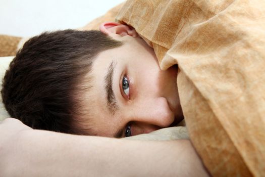 Young Man lying under Blanket in the Bed close-up