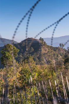 view point , doi angkhang , chiangmai , thailand