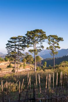 view point , doi angkhang , chiangmai , thailand