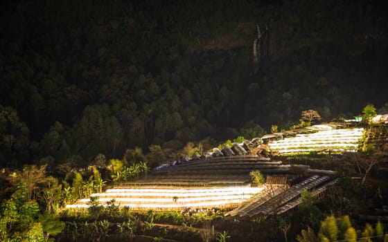 Nightscape of Greenhouse Plant and waterfall, Doi Inthanon, Chiang Mai, Thailand