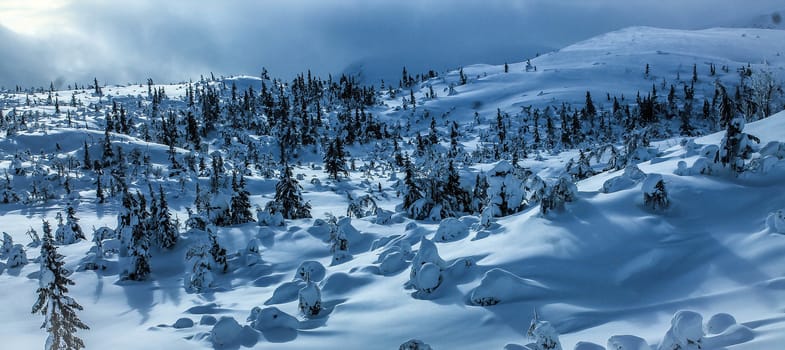 winter landscape at a norwegian mounatin