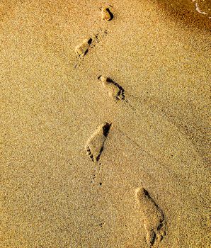 footprints in the sand at the beach