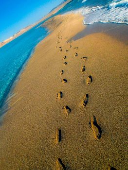 footprints in the sand at the beach