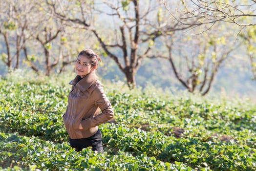 Asia girl at beautiful strawberry farm in the morning at Doi Angkhang ,Chiangmai Thailand