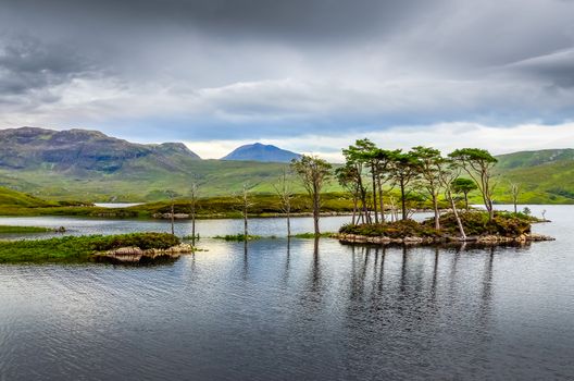 landscape view of trees in a lake at Scottish highlands, United Kingdom