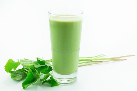 Pennywort or asiatic herbal Smoothie in glass, Helathy drink on white background 