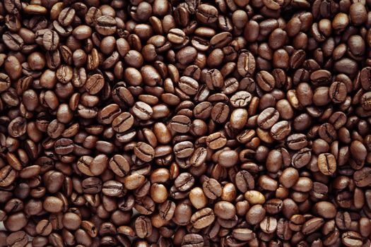 Closeup of roasted coffee beans