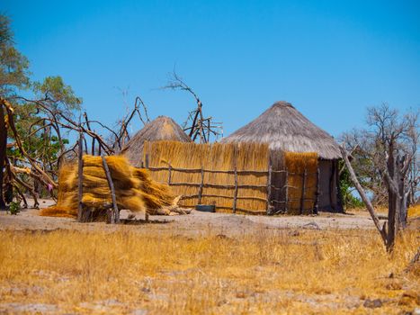 Strawy huts of african village in Botswana