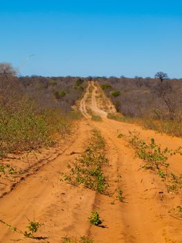 Endless sandy road from Chobe National Park to Kasane (Botswana)
