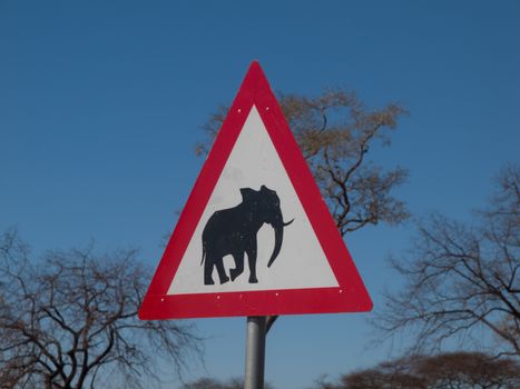 Beware of elephants - transportation sign