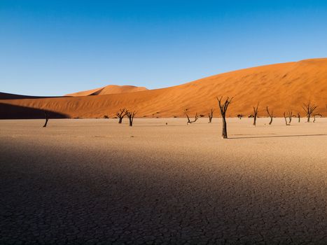 New day is coming in Sossusvlei (Namib desert, Namibia)