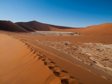 Footprints in the sand of Namib desert red dunes (Namib Naukluft National Park, Namibia)