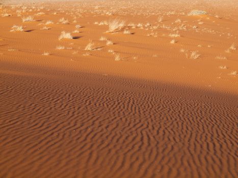 Red sand in Namid desert (Namib Naukluft National Park, Namibia)