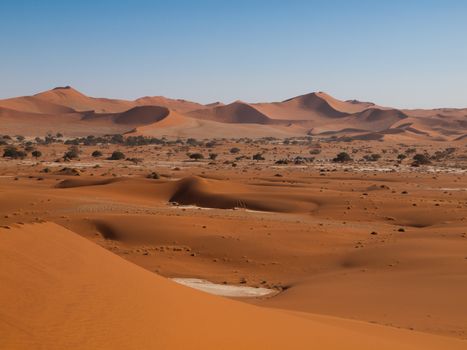 Landscape with red dunes of Namid desert (Namibia) Red dunes of Namid desert (Namibia)