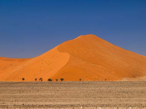 Red dune of Namid desert on the way to Sossusvlei (Namibia) Red dune of Namid desert (Namibia)