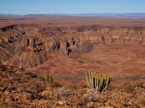 Fish River Canyon with cactus - The second largest canyon in the world (Namibia)