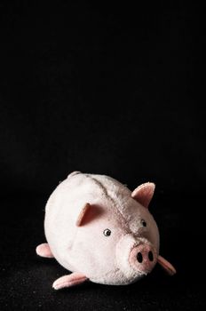 Cute pink pig animal character on a Black Background