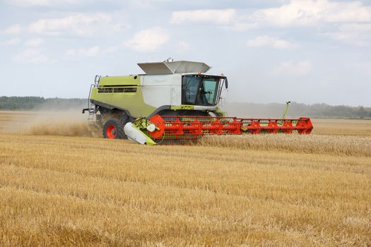 The combine mows wheat in a field 