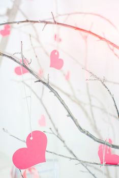pink hearts hanging on a tree branches
