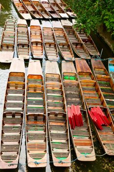 Moored punts on the river Cherwell in Oxford