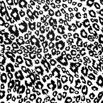  black and white leopard pattern background or texture close up