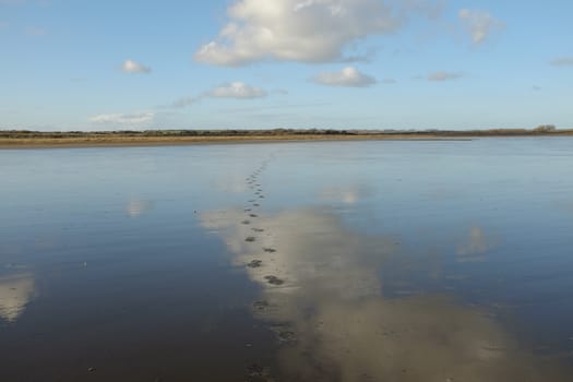 Footprints lead across wet sand on a wet beach with the sky reflected in the water.