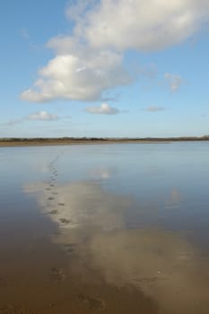 Footprints lead across wet sand on a wet beach with the sky reflected in the water.