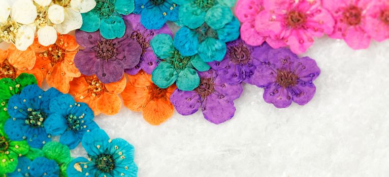 Decorative montage compilation of colorful dried spring flowers (blue, pink, purple, yellow)