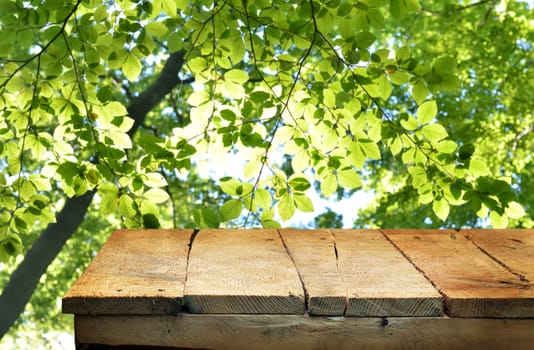 Empty wooden table and green mforest in background