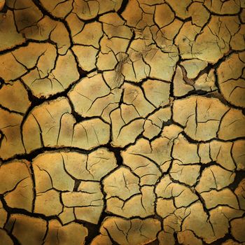 Cracked earth texture or background
