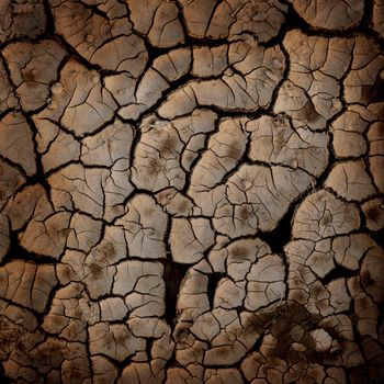 Cracked earth texture or background