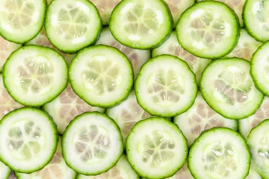Background made of fresh ripe cucumber slices