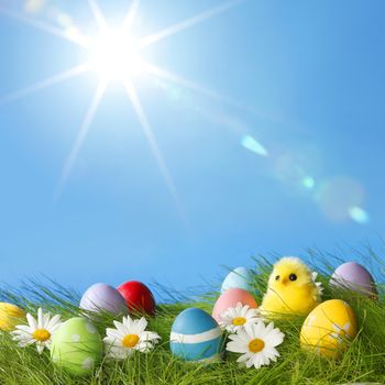 Easter Greeting Card with decorated Easter eggs in the grass and flowers